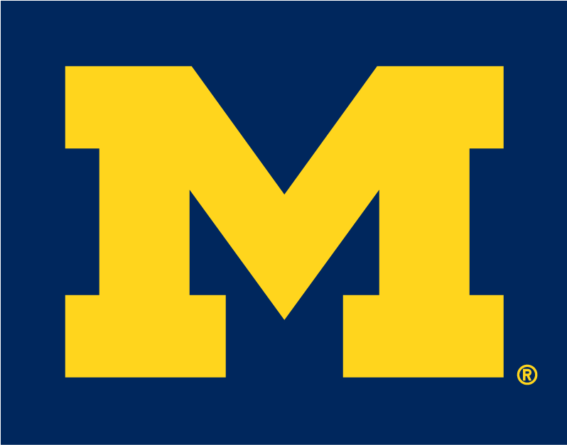 Michigan Wolverines 1996-Pres Alternate Logo v2 diy fabric transfer
